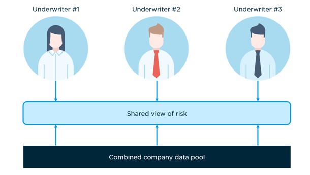 Shared-view-of-risk